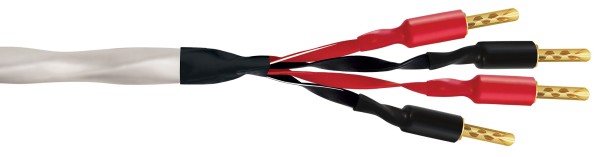 WireWorld Solstice 10 Bi-Wire