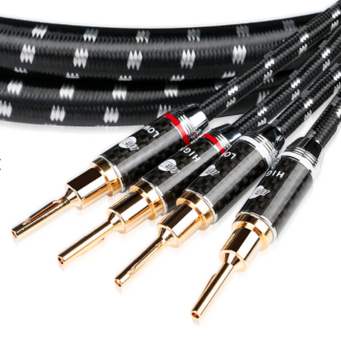 Boaacoustic Evolution Black.sonic-17 - BiAmp