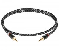 Boaacoustic Evolution Black.jack-trs.3.5 Boaacoustic Evolution Black.jack-trs.3.5