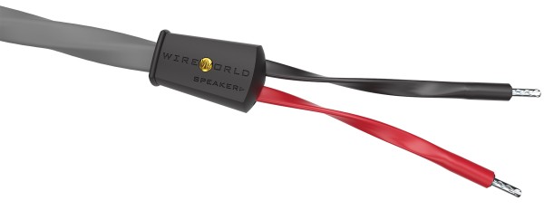 WireWorld Equinox 10 Singlewire
