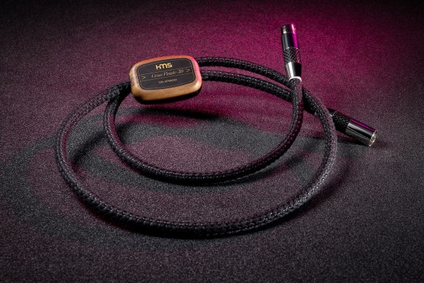 HMS Gran Finale 50 Digital 110 Ohm - XLR