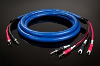 Cardas Audio Clear Cygnus Speaker Bananas Cardas Audio Clear Cygnus Speaker Bananas