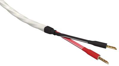 wireworld-solstice-10-