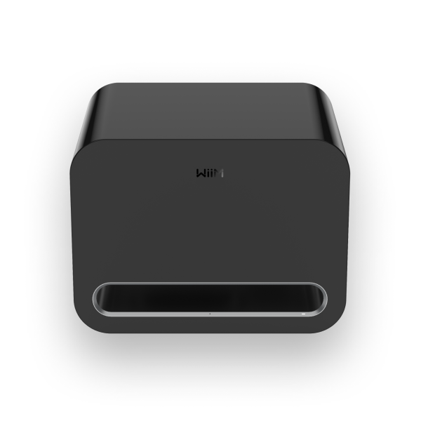 WiiM Sub Pro - Aktiv Subwoofer NEUHEIT