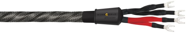 WireWorld Silver Eclipse 10 Bi-Wire
