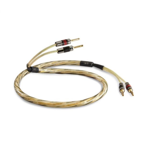 QED Golden Reference Anniversary XT - Singlewire